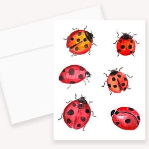 Carte de voeux aquarelle coccinelle et enveloppe, insecte stationnaire, amoureux des insectes stationnaire, cadeau amoureux des insectes, invitation de fête mignonne