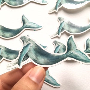 Humpback Whale Stickers, animal lover stickers, whale stickers, ocean stickers, nature stickers, vinyl stickers, sea animal decal