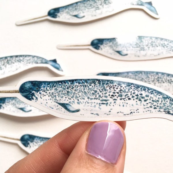 Narwhal Sticker - Etsy