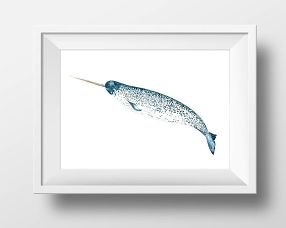 Narwhal Watercolor Art Print Home Decor Whale Painting - Narwhal Home Decor Narwhal Watercolor Art Print Home Decor Whale Painting - Narwhal Home Decor