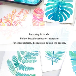 May include: Watercolor paintings of coral, ferns, and tropical leaves in shades of orange, pink, and teal. The text "Let's stay in touch! Follow @studiocprints on Instagram for shop updates, discounts & behind the scenes."