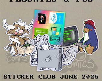 Plushies and PCs - Sticker Club Leftovers JUNE 2024