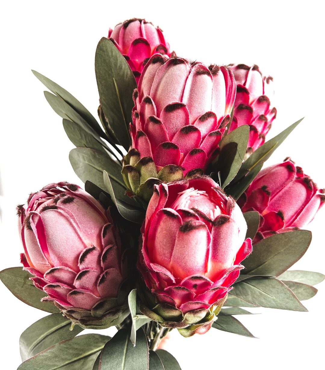 Protea Stem Australian Native Flowers Faux Silk Pink Queen Proteas Flower Stem DIY Flower