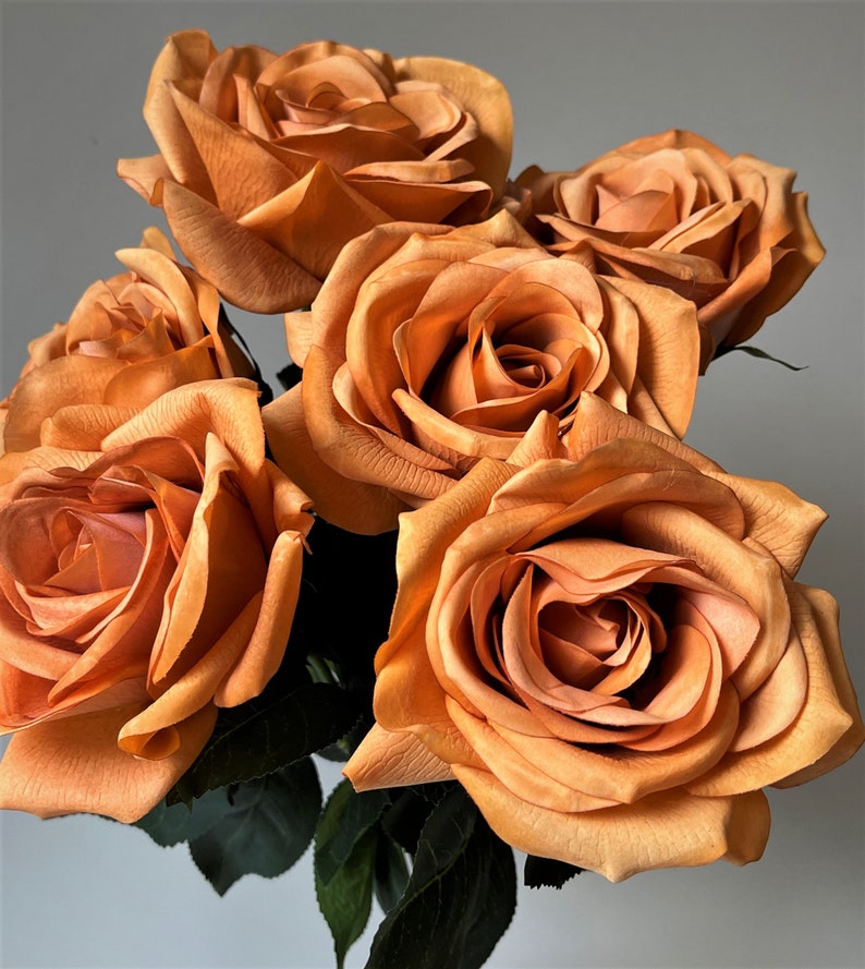 Rustic Rose Stem Fresh Touch Rust Toffee Orange Roses Real Etsy Australia