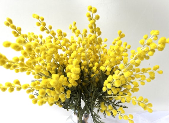 Wattle Bouquet 5 Stem Bouquets Australian Native Flowers Golden 