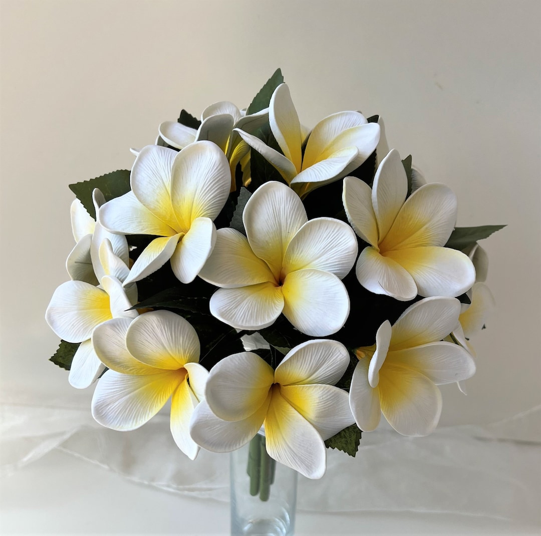 Frangipani Wedding Bouquet Beach Bouquet White Yellow Frangipani Bridal