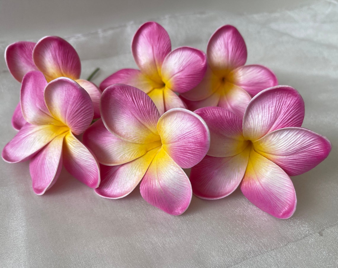 6 x Artificial latex frangipani stems Plumeria flowers bridal Etsy