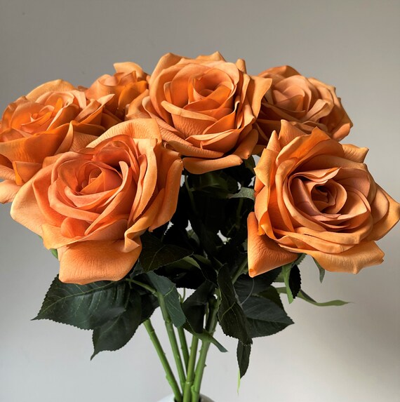 Rust Colored Real Roses Old Orange Roses Orange Roses Apricot Roses Sustainable Rose Gifts