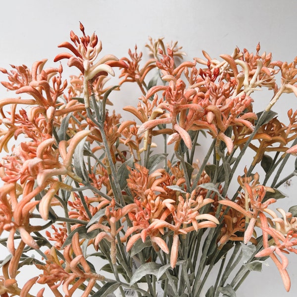 Tige de patte de kangourou, fleurs indigènes d'Australie, fleurs indigènes orange cendré, fleurs pattes de kangourou, arrangement à faire soi-même, fleurs en fausse soie, 78 cm H