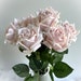 see more listings in the Artificial Flower Stems section