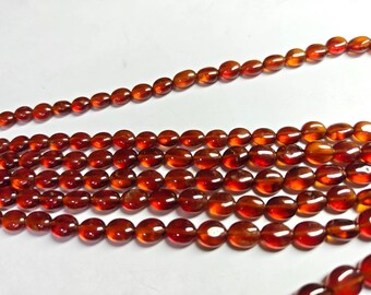 May include: A strand of translucent, deep amber-colored beads with a smooth, rounded, and slightly flattened oval shape. The beads are strung together in multiple parallel rows, showcasing a consistent reddish-brown hue and a polished finish.
