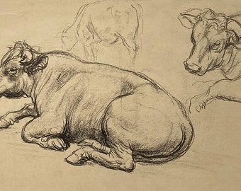 Antique Original Charcoal Drawing, Bull Study by Russell Reeve. Framed and ready to hang.