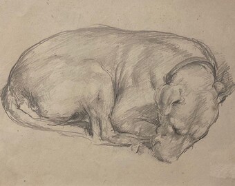 Antique Original Drawing, Study of a Sleeping Dog by Russell Reeve. Framed and ready to hang.