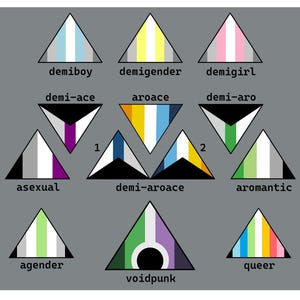 May include: A graphic featuring various pride flags represented as triangles. Each triangle has a unique color scheme and label, including "demiboy," "demigender," "demigirl," "demi-ace," "aroace," "demi-aro," "asexual," "demi-aroace," "aromantic," "agender," "voidpunk," and "queer."