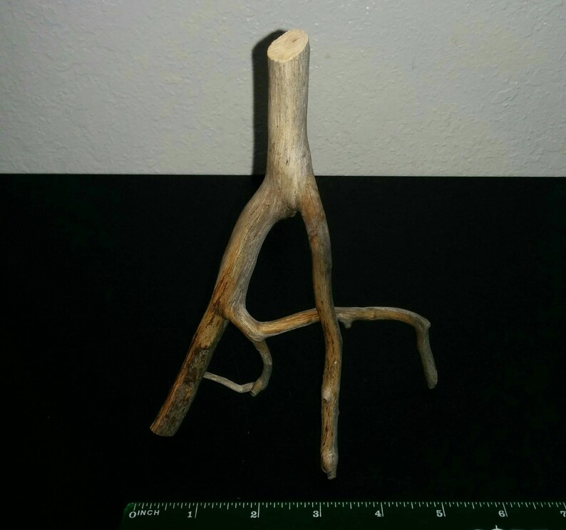 Curvy Piece of Freestanding Trimmed Manzanita Driftwood Branch Some Bark Small