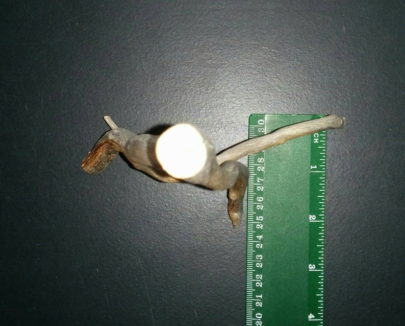 Curvy Piece of Freestanding Trimmed Manzanita Driftwood Branch Some Bark Small
