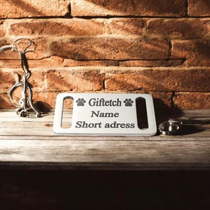 Personalized Stainless Steel Slide-On Dog Collar Tag