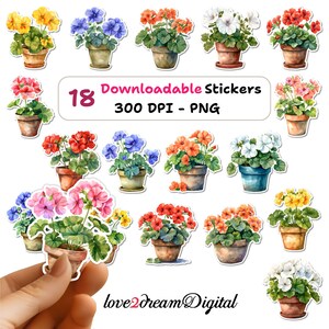 Puede incluir: 18 ilustraciones de acuarela de geranios en varios colores, incluyendo rosa, rojo, blanco y amarillo. Las flores están en macetas y tienen hojas verdes. El texto "18 Downloadable Stickers 300 DPI - PNG" está en la parte superior de la imagen. El texto "love2dreamDigital" está en la parte inferior de la imagen.