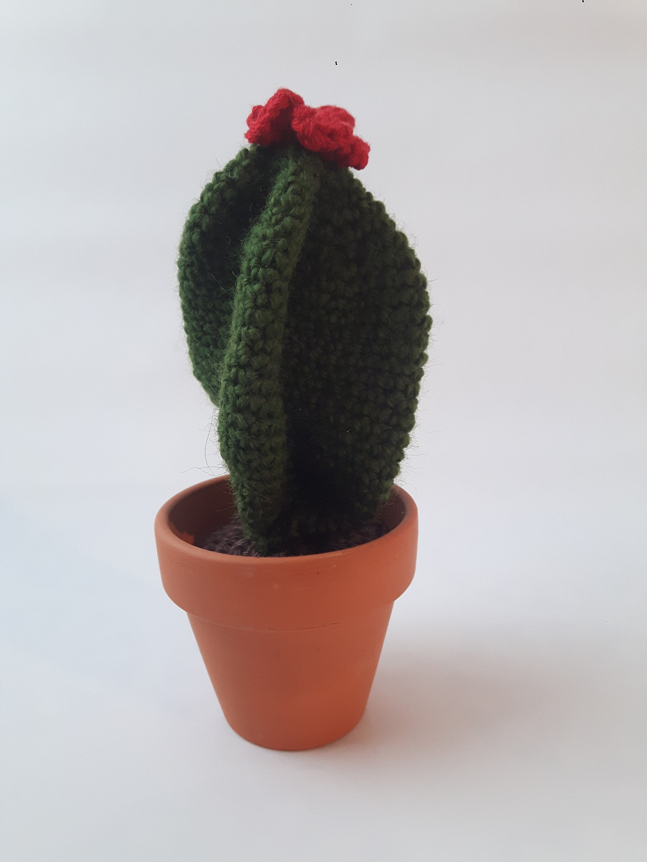 Cactus Au Crochet, Faux Cactus en Laine, Cactus Amigurumi Pot, Déco Artificiel, Déco Exotique Tropic