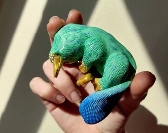 Cute Baby Platypus Etsy