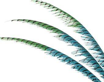 2pcs Two-Tone Zebra Feathers 30+ inch, colorful craft feathers, DIY decor, costume accents, event materials, handmade supplies, natural