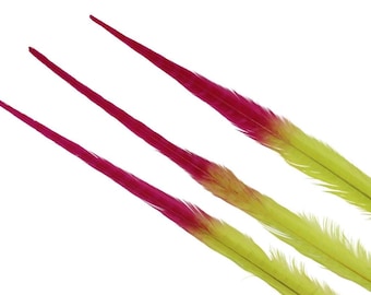 5pcs 2 Tone Bleached & Dyed 17-20&quot; Ringneck Feathers, colorful craft feathers, DIY decor, costume accents, event materials