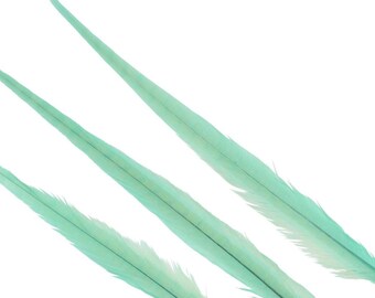 5pcs Bleached & Dyed Ringneck Feathers, colorful craft feathers, DIY decor, costume accents, event materials, handmade supplies
