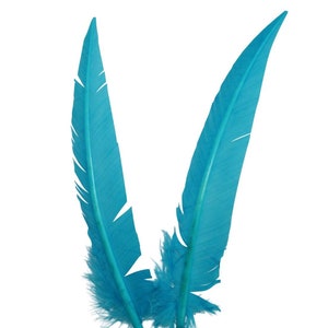 24 Arrow Cut Quills, 12 lefts 12 rights feathers, crafting supplies, DIY decor, costume accents, event materials, handmade, archery feathers