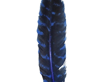 24 plumas de barril de pavo, 12 plumas izquierdas y 12 derechas, suministros para manualidades, decoración DIY, detalles de disfraces, sobreteñidas, hechas a mano, plumas naturales