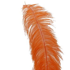 10pcs Ostrich feathers, wing plumes second quality, budget feathers, large plumes, DIY decor, rustic, affordable crafts, carnival