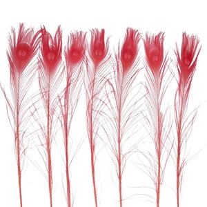 50-100 pack Bleached & Dyed 25+ inch peacock feathers, vibrant craft feathers, colorful decor, DIY supplies, costume feathers