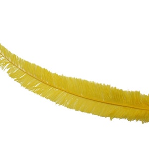 10pcs Ostrich Nando feathers, thick stems, large plumes, natural craft supplies, centerpiece decor, DIY, wedding, carnival accessory