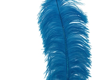 May include: A single turquoise ostrich feather. H100 Turquoise.