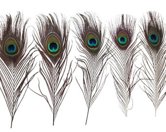 Abbinamento di piume di faraona 5 cm Naturale x10g - Perles & Co