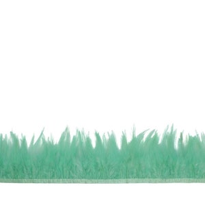 May include: A strip of mint green feather trim. The feathers are densely packed and create a soft, textured appearance. The trim is likely used for crafting or embellishing garments and accessories. The text "H6 Mint" is in the upper right corner.