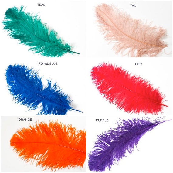 Ostrich Feathers: Ostrich Plumes or Ostrich Drabs - Events Wholesale