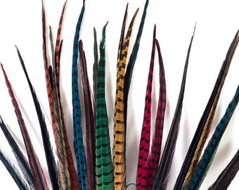 Schuman Feathers - Quality Wholesale Feathers to buy in the USA
