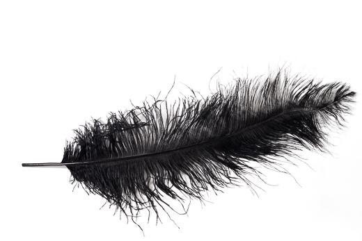 EVNNO Evnno 10 Pcs Natural Black Ostrich Feathers Making Kit,27-29