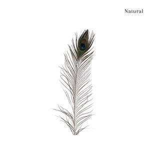 50-100 pack 25+ inch natural peacock feathers, long decorative feathers, crafting decor, DIY materials, event decor, handmade supplies