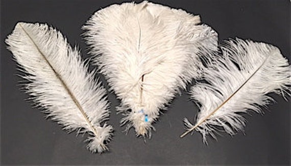 cost of ostrich feathers