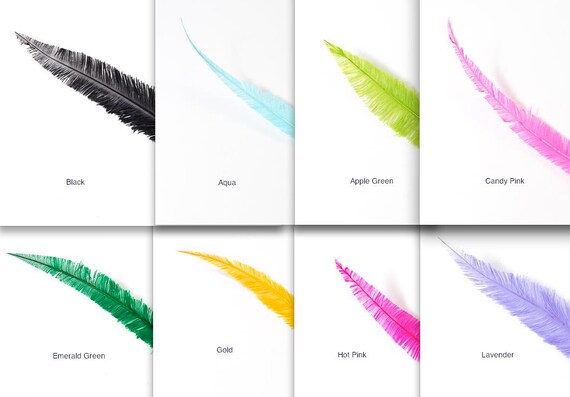 ostrich feathers wholesale cheap