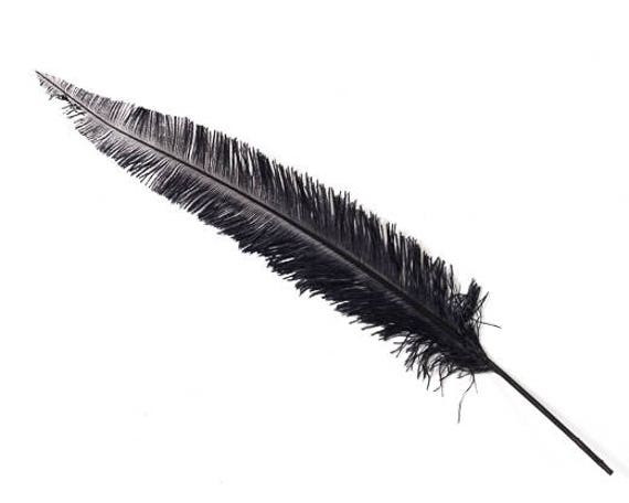 Doolland 50 Pcs Natural Black Ostrich Feathers 5.9-7.8 inch(15