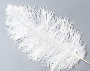 25 Pieces, White Ostrich plumes, 14-17", Long, Bleached White, Ostrich Drabs