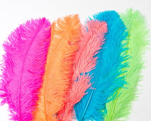 Ostrich Feather Spad Plumes 16-20 (Gold) for Sale Online