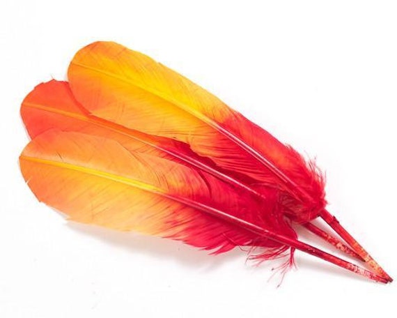 Capri Leggings - Multiple colors – Feather & Quill Boutique