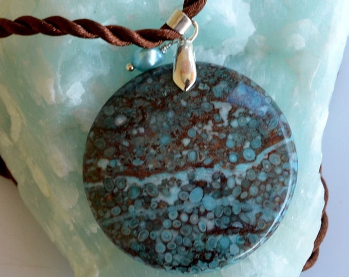 Shell Fossil Pendant, Blue and Brown Fossil Pendant, Shell Fossil ...