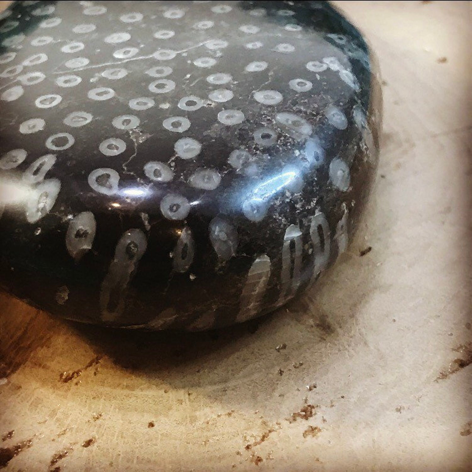 Polished Fossil Tube Worm River Rock Etsy