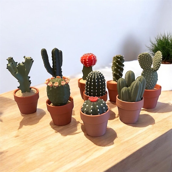 Cactus Clickers Fidget Toy Collection: 3D Printed Desk Decor