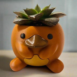 Platypot: Platypus Planter with Drip Tray