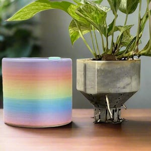 Peut inclure: Un pot en céramique rayé arc-en-ciel avec une plante verte dans un pot en béton gris avec un système de drainage en métal.